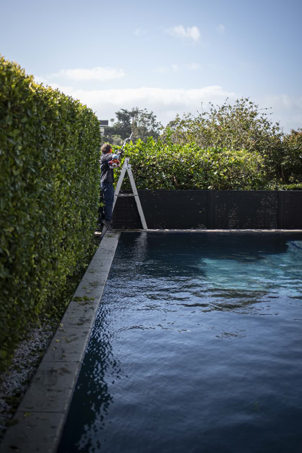 Man trimming hedge on ladder beside pool